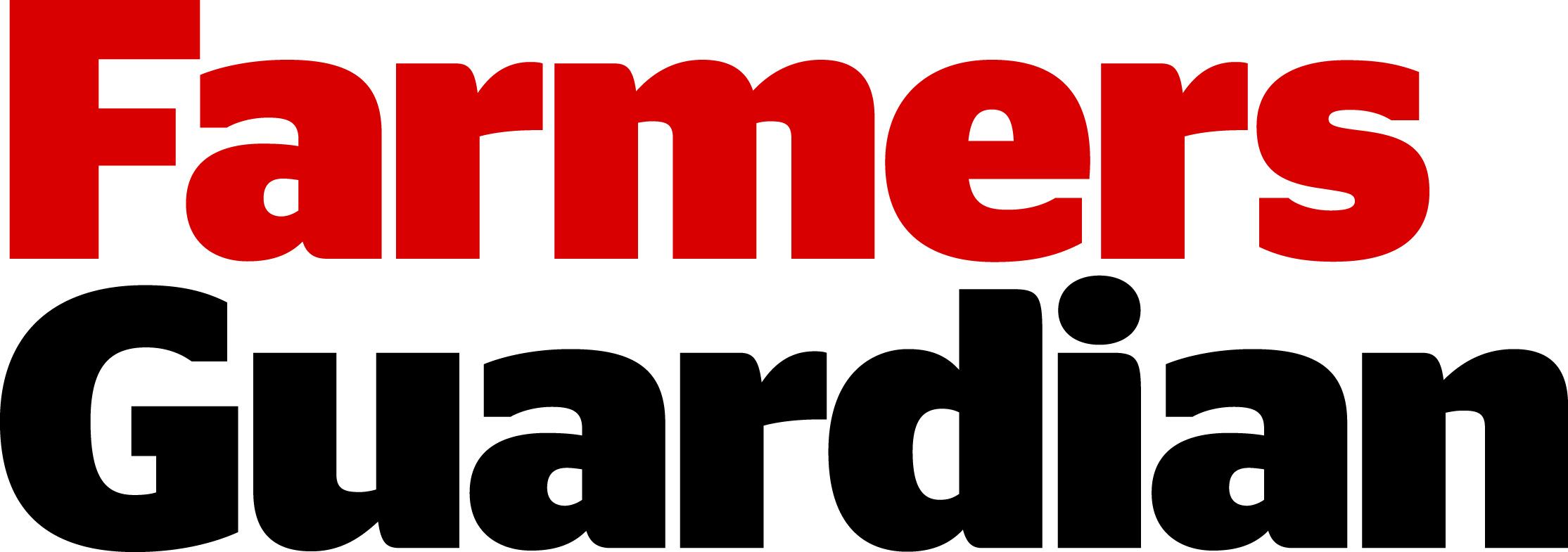FG logo